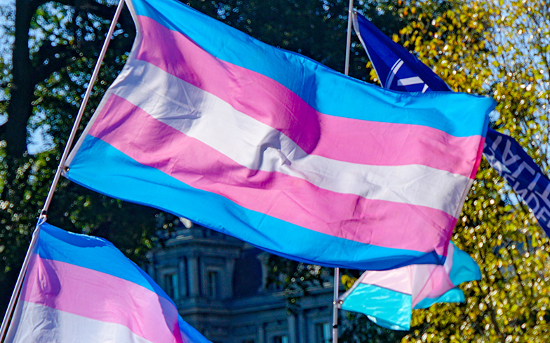the trans pride flag